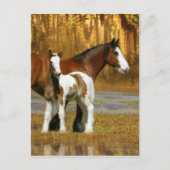 Fantasy Horses: Mare & Foal Postkarte (Vorderseite)