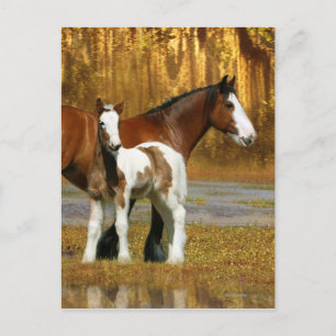 Fantasy Horses: Mare & Foal Postkarte
