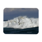 Fantasy Horses: Meer Magnet (Horizontal)