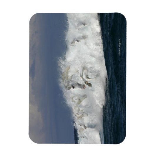 Fantasy Horses: Meer Magnet (Vertikal)