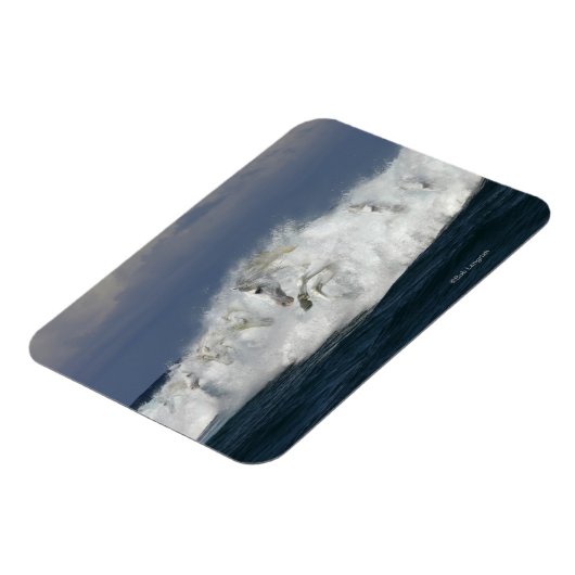 Fantasy Horses: Meer Magnet (Linke Seite)