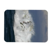 Fantasy Horses: Meer Magnet (Horizontal)