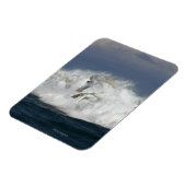 Fantasy Horses: Meer Magnet (Linke Seite)