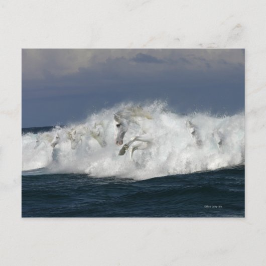 Fantasy Horses: Meer Postkarte (Vorderseite)