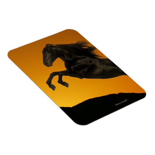 Fantasy Horses: Mountain Sunset Magnet (Rechte Seite)