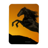 Fantasy Horses: Mountain Sunset Magnet (Vertikal)