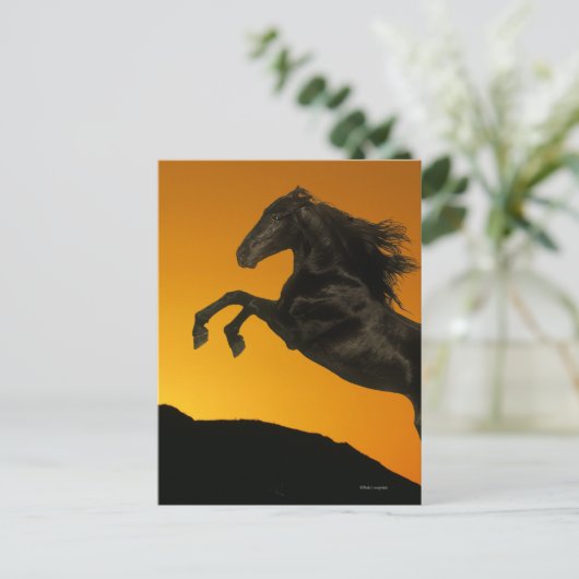 Fantasy Horses: Mountain Sunset Postkarte (Stehend Vorderseite)