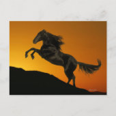 Fantasy Horses: Mountain Sunset Postkarte (Vorderseite)