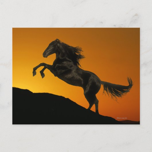 Fantasy Horses: Mountain Sunset Postkarte (Vorderseite)