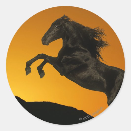Fantasy Horses: Mountain Sunset Runder Aufkleber (Vorderseite)