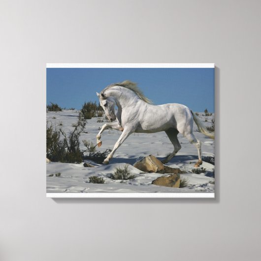 Fantasy Horses: Snow King Leinwanddruck (Vorderseite)