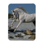 Fantasy Horses: Snow King Magnet (Vertikal)