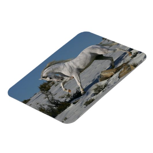 Fantasy Horses: Snow King Magnet (Linke Seite)