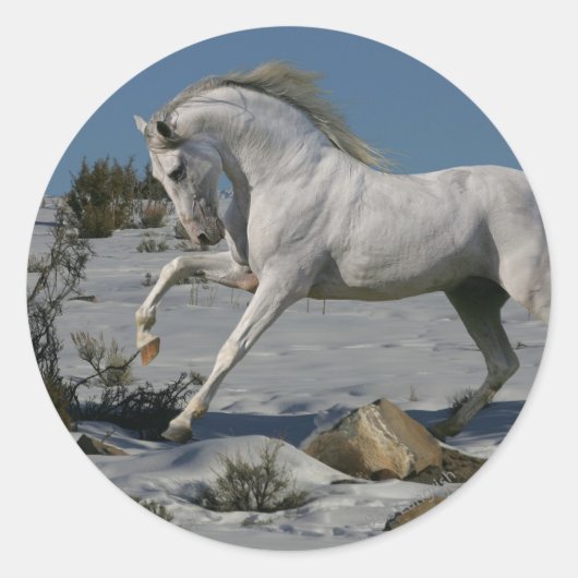 Fantasy Horses: Snow King Runder Aufkleber (Vorderseite)