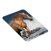 Fantasy Horses: Sommerspass Magnet (Rechte Seite)