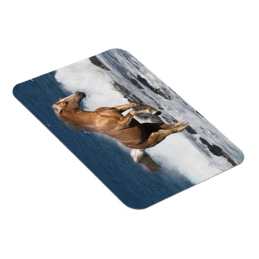 Fantasy Horses: Sommerspass Magnet (Rechte Seite)