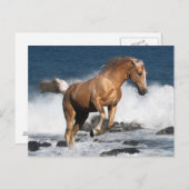 Fantasy Horses: Sommerspass Postkarte (Vorne/Hinten)