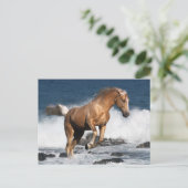 Fantasy Horses: Sommerspass Postkarte (Stehend Vorderseite)