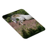 Fantasy Horses: Spring Gallop Magnet (Rechte Seite)