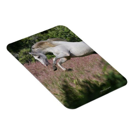 Fantasy Horses: Spring Gallop Magnet (Rechte Seite)