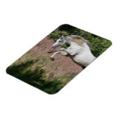Fantasy Horses: Spring Gallop Magnet (Linke Seite)