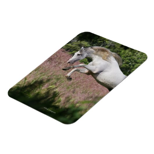 Fantasy Horses: Spring Gallop Magnet (Linke Seite)