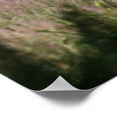 Fantasy Horses: Spring Gallop Poster (Ecke)