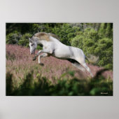 Fantasy Horses: Spring Gallop Poster (Vorne)