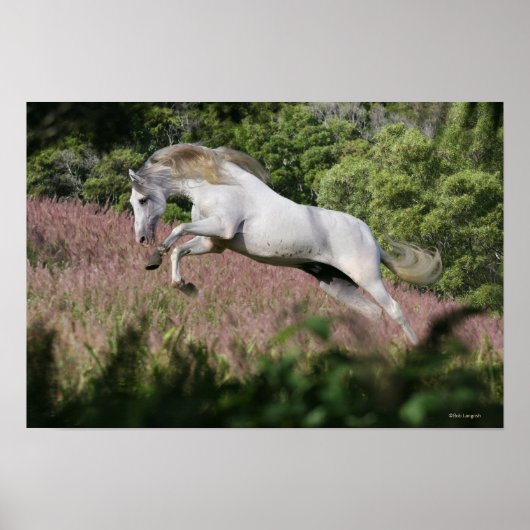 Fantasy Horses: Spring Gallop Poster (Vorne)