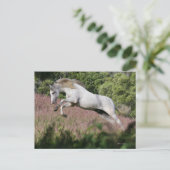 Fantasy Horses: Spring Gallop Postkarte (Stehend Vorderseite)