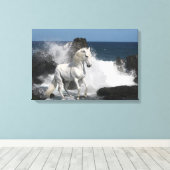 Fantasy Horses: Südliche Meere Leinwanddruck (Insitu (Holzboden))