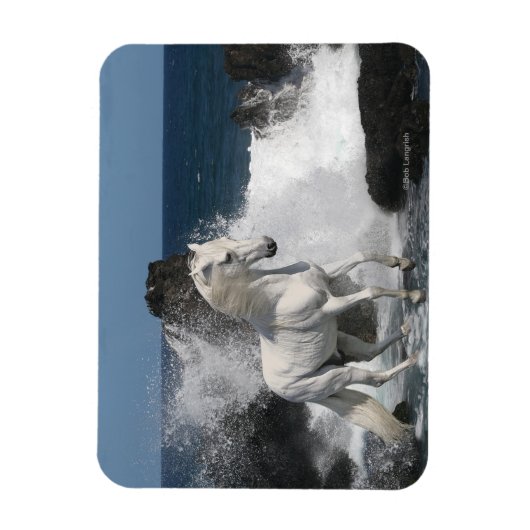 Fantasy Horses: Südliche Meere Magnet (Vertikal)