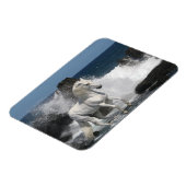 Fantasy Horses: Südliche Meere Magnet (Linke Seite)