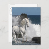 Fantasy Horses: Südliche Meere Postkarte (Vorne/Hinten)