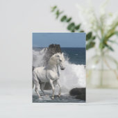 Fantasy Horses: Südliche Meere Postkarte (Stehend Vorderseite)