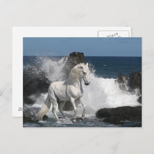Fantasy Horses: Südliche Meere Postkarte (Vorne/Hinten)