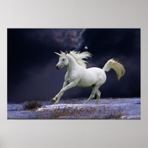 Fantasy Horses: Unicorn Poster