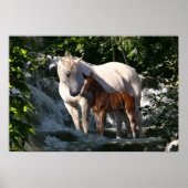 Fantasy Horses: Wasserfall Poster (Vorne)