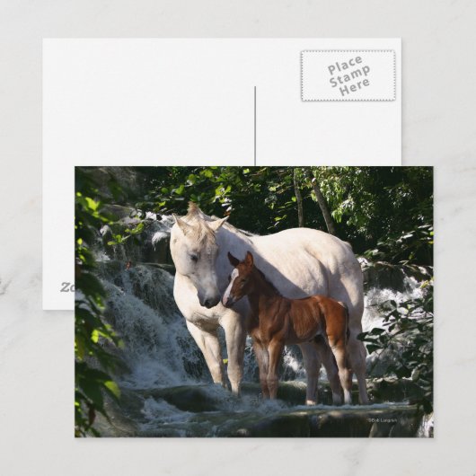 Fantasy Horses: Wasserfall Postkarte (Vorne/Hinten)
