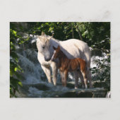 Fantasy Horses: Wasserfall Postkarte (Vorderseite)