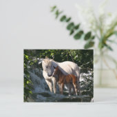 Fantasy Horses: Wasserfall Postkarte (Stehend Vorderseite)