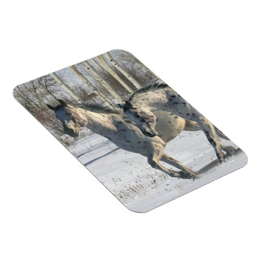 Fantasy Horses: Winter Wunderland Magnet (Rechte Seite)