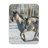 Fantasy Horses: Winter Wunderland Magnet (Vertikal)