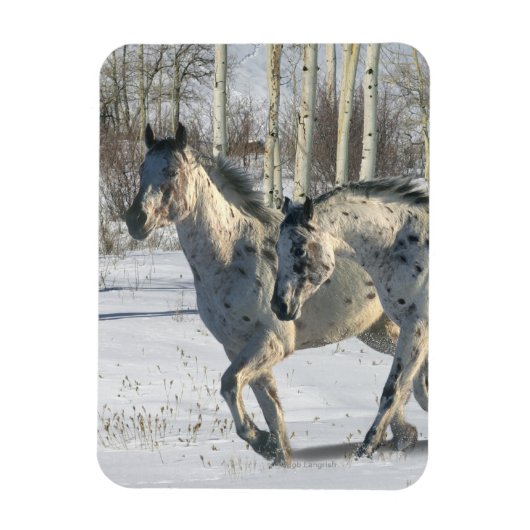 Fantasy Horses: Winter Wunderland Magnet (Vertikal)