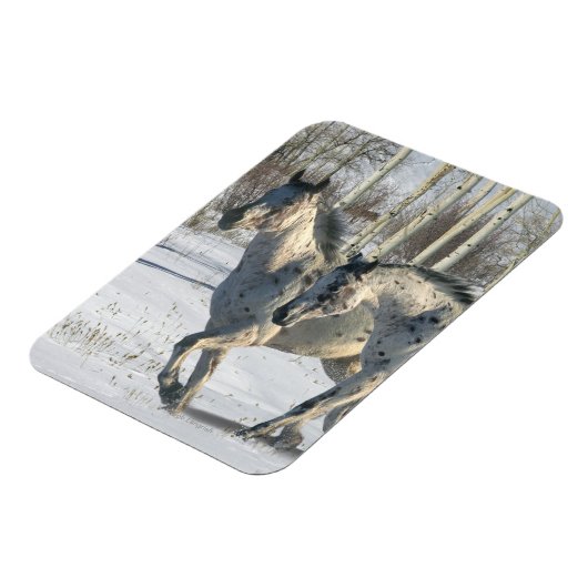 Fantasy Horses: Winter Wunderland Magnet (Linke Seite)