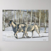 Fantasy Horses: Winter Wunderland Poster (Vorne)
