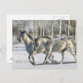 Fantasy Horses: Winter Wunderland Postkarte (Vorne/Hinten)