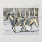 Fantasy Horses: Winter Wunderland Postkarte (Vorderseite)