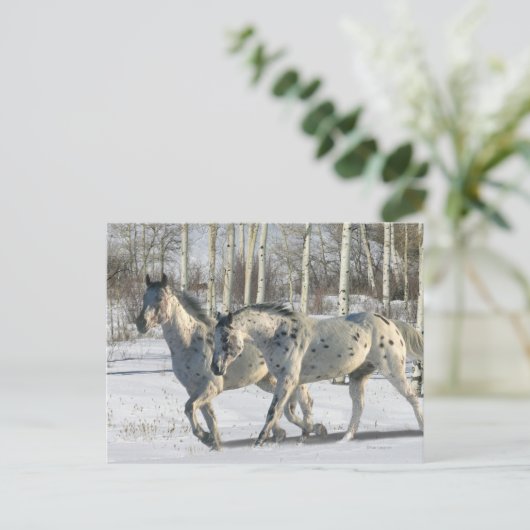 Fantasy Horses: Winter Wunderland Postkarte (Stehend Vorderseite)
