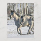 Fantasy Horses: Winter Wunderland Postkarte (Vorderseite)